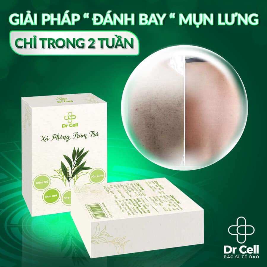 XÀ BÔNG TRÀM TRÀ
