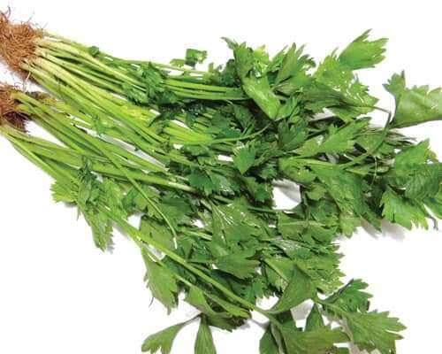 Hạt giống  rau CẦN TÀU 10gr