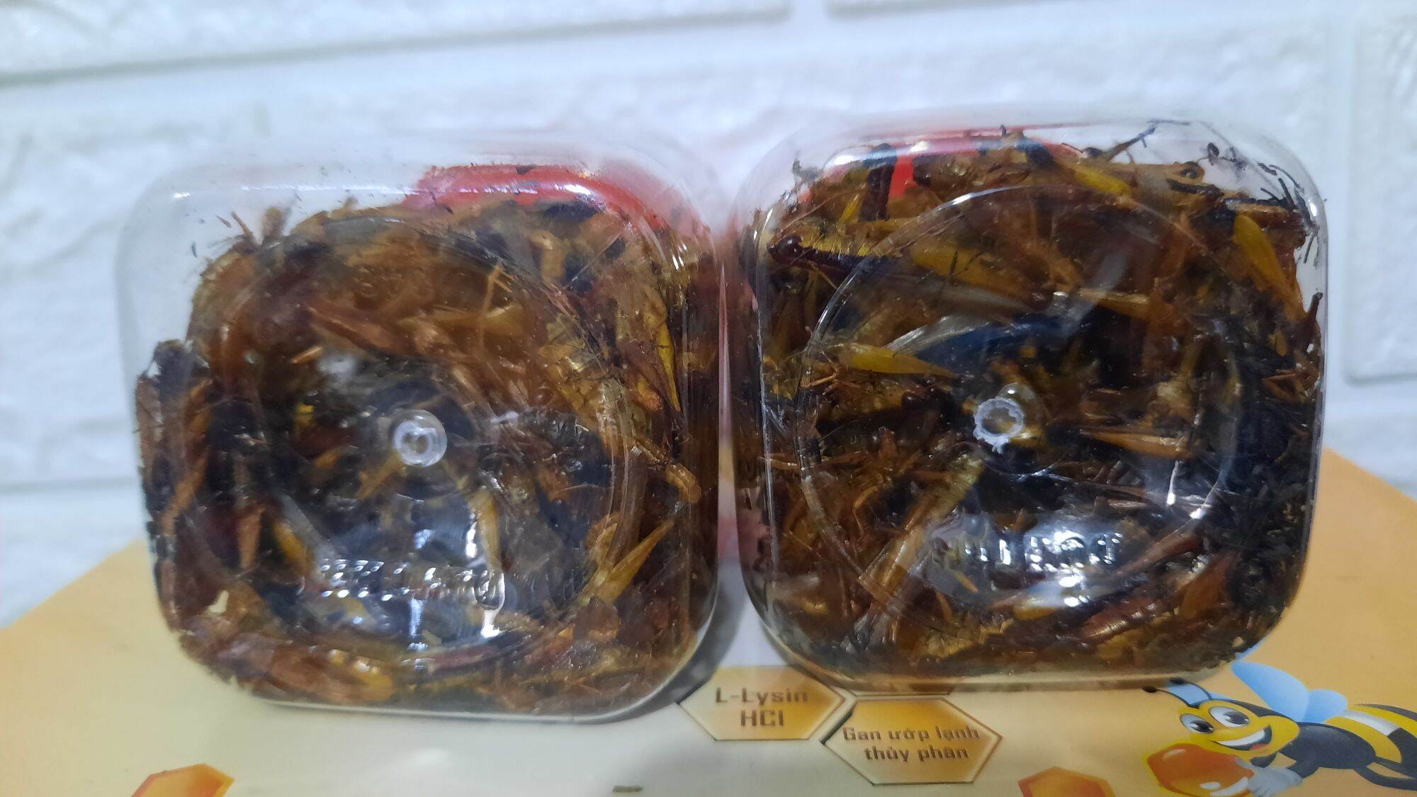 combo 2 hủ cào cào sấy khô. 40gram= 2 hủ