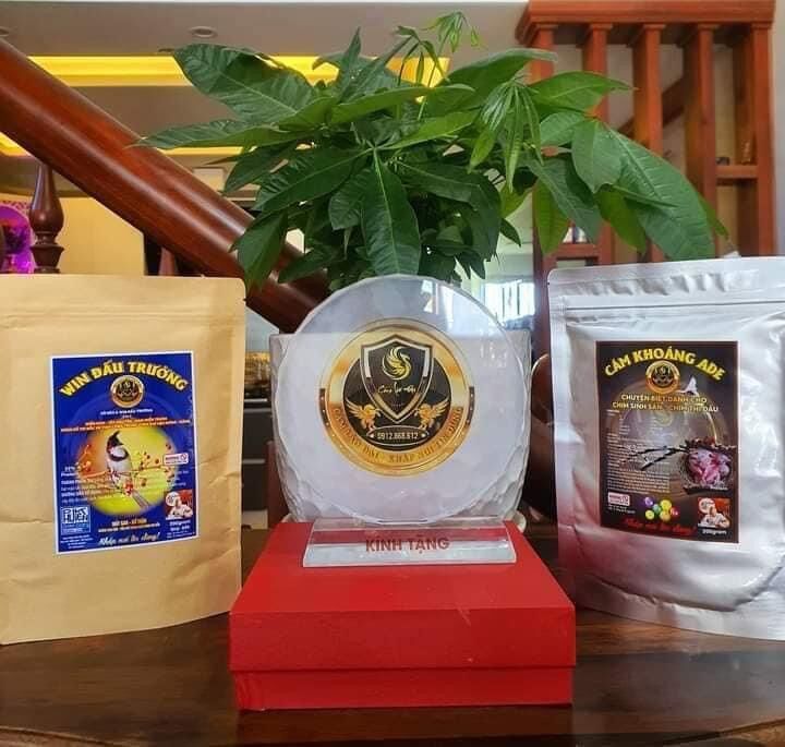 Cám vỗ béo thay lông Lão Đại