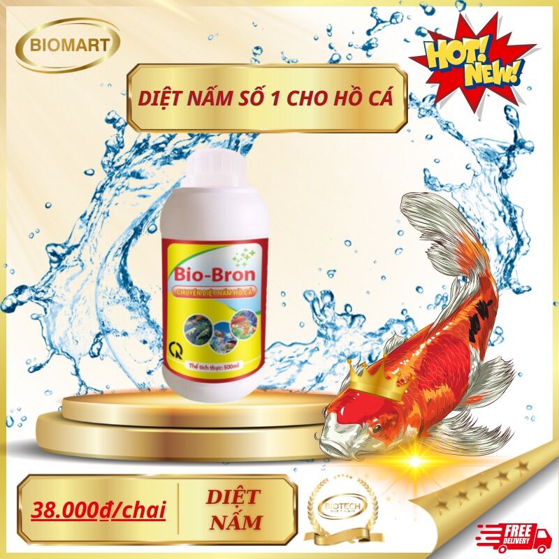 Diệt nấm cho hồ cá koi, cá cảnh