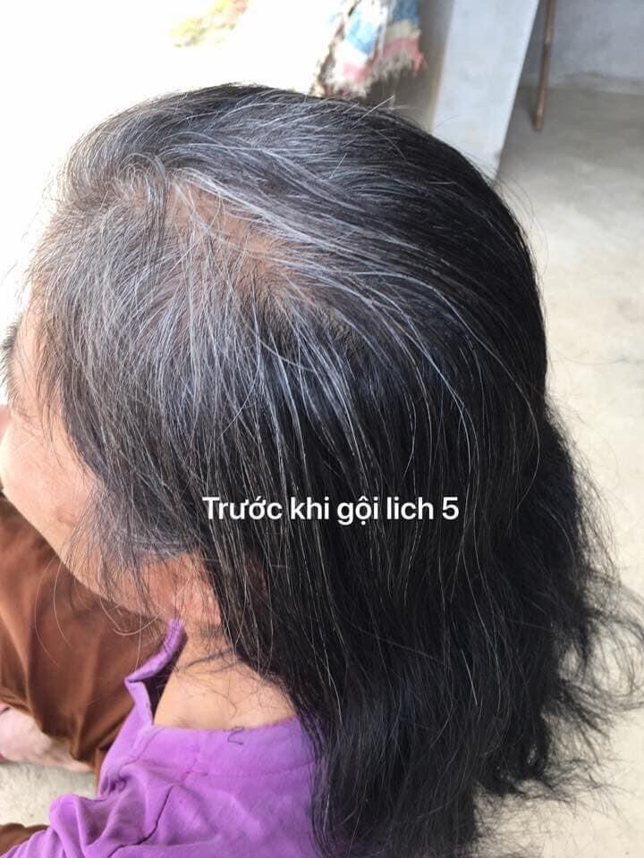 Dầu gội thảo dược nhuộm đen tóc Lich5