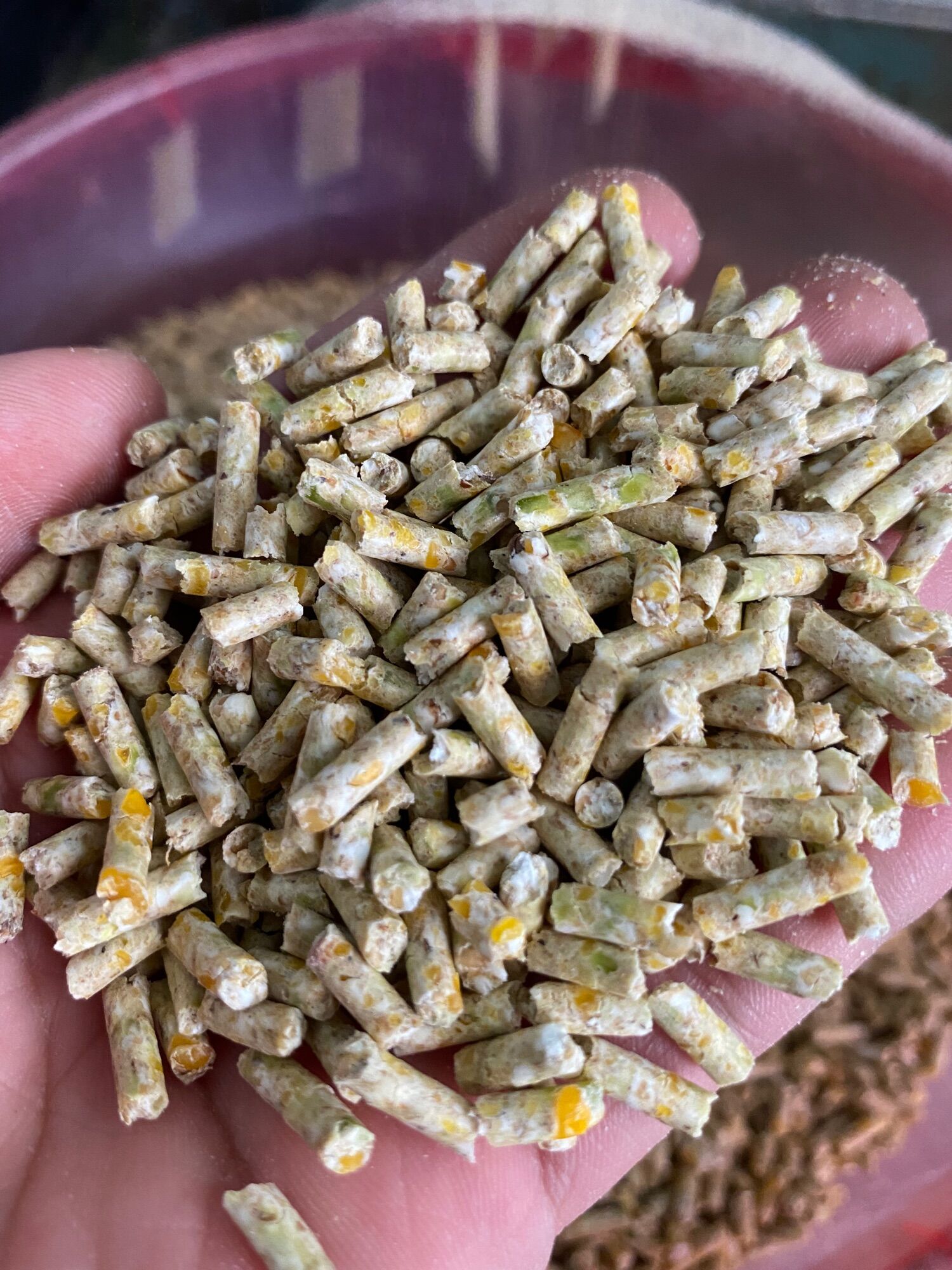 Cám dinh dưỡng cho gà (1kg).