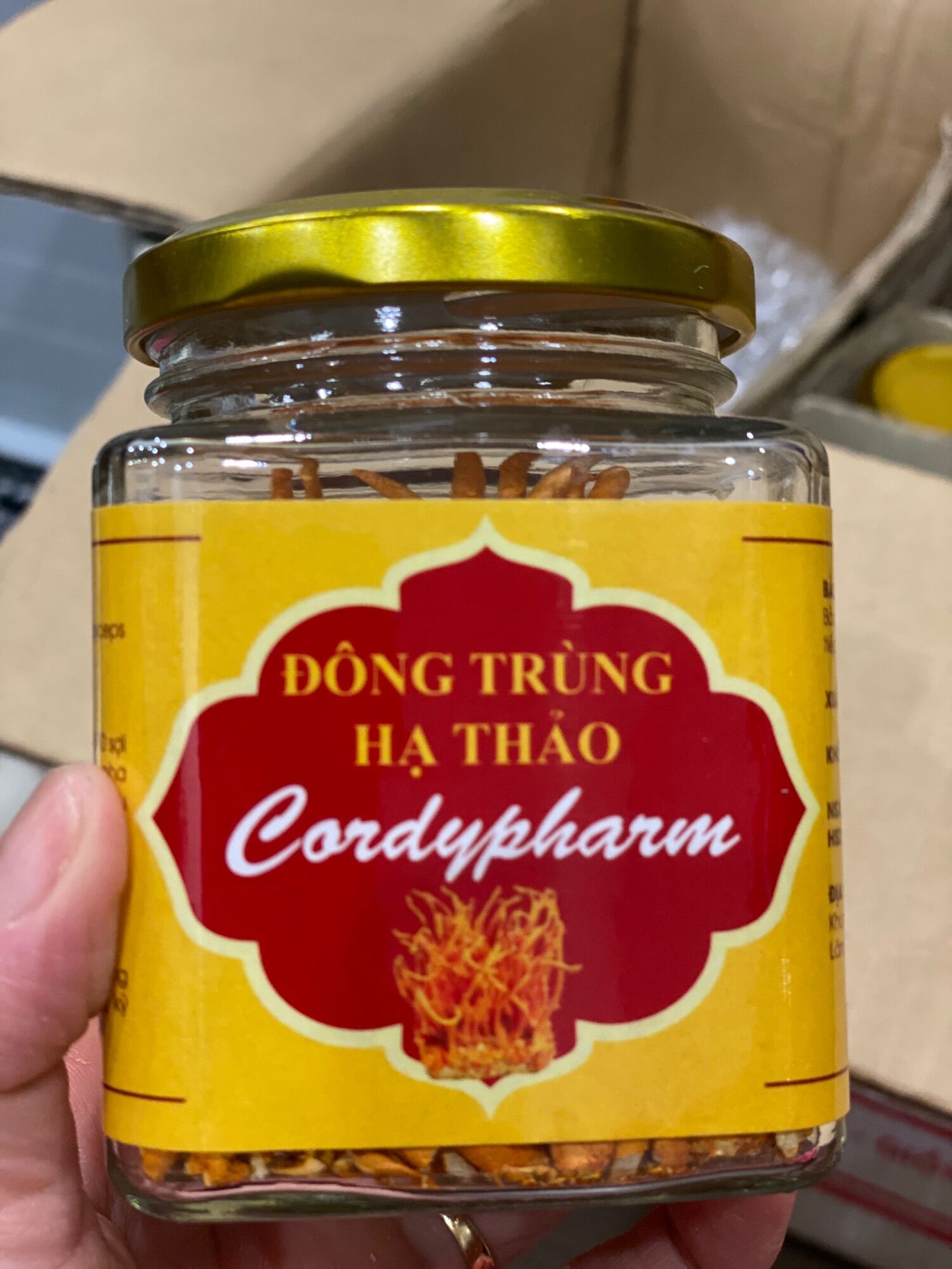 Nấm Đông trùng Hạ thảo sấy khô- Khoa Công nghệ Thực phẩm