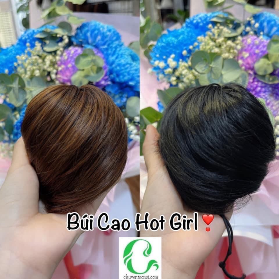 Tóc Búi Cao