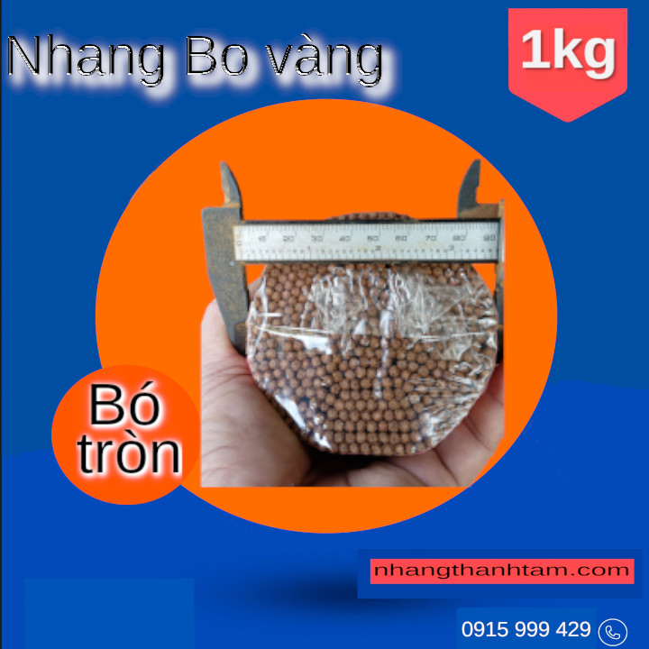 [Hàng chuẩn - 1 bó] Nhang thơm Bo vàng trung THÀNH TÂM bó tròn 1kg 38cm (thơm hảo hạng)