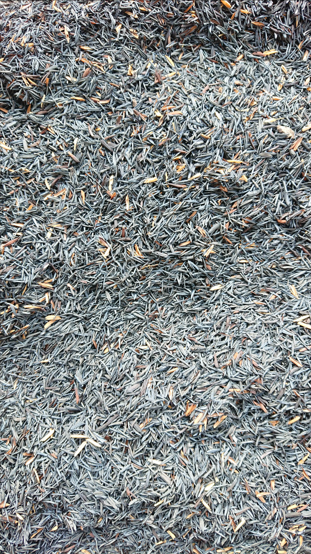 Trấu hun nguyen hạt: 0.5kg