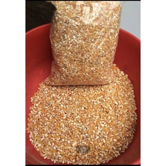 500g Hạt bắp bể size lớn- thức ăn cho gà, chim, chuột
