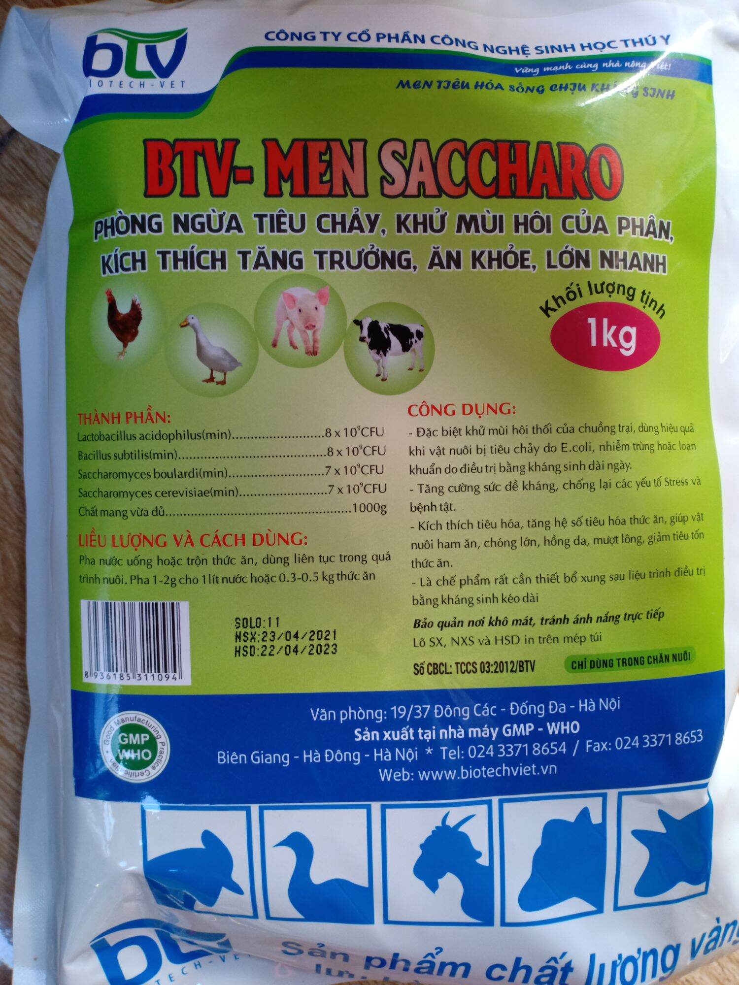 Men tiêu hoá sống- saccharo 1 kg