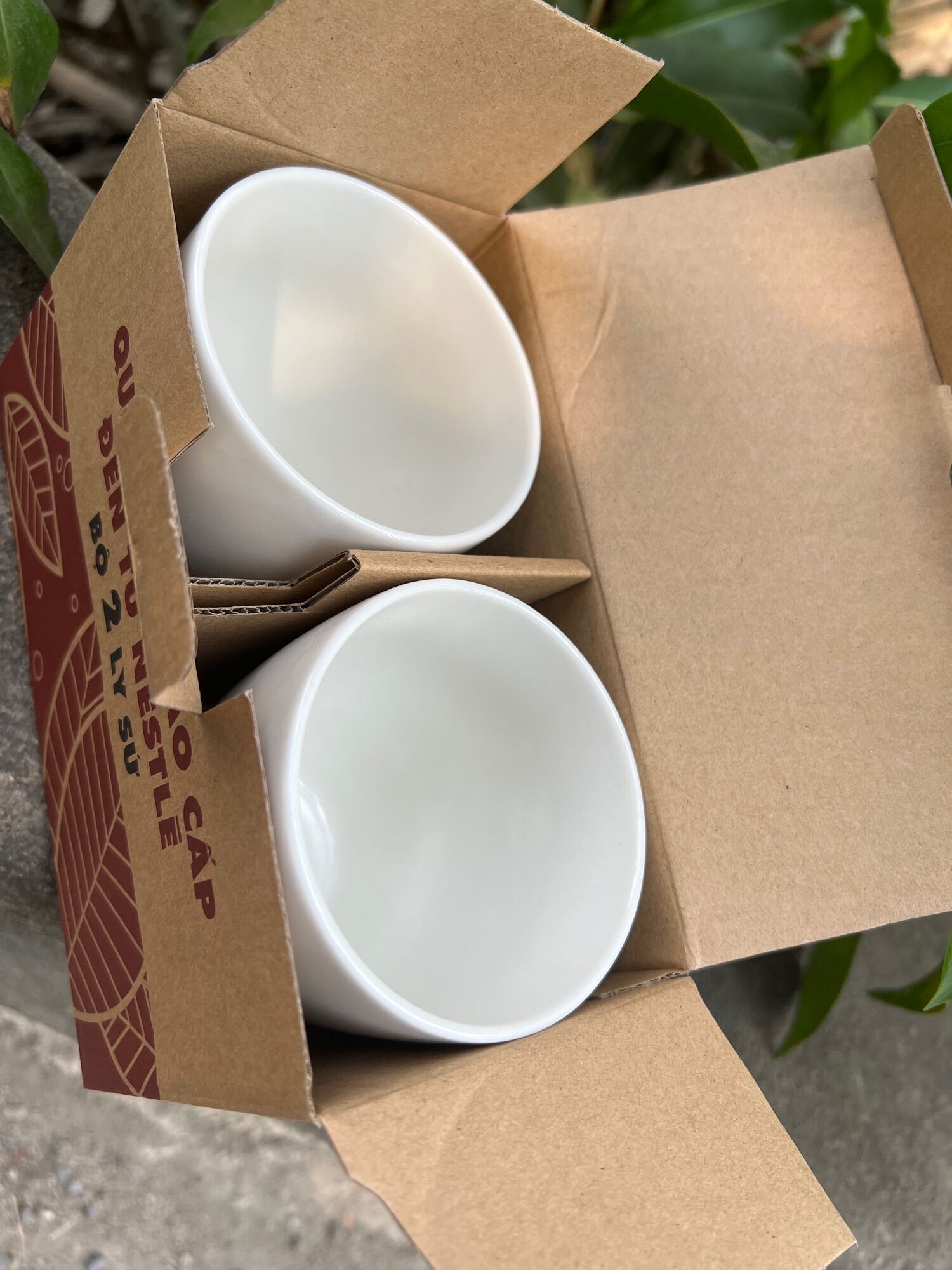 Bộ 2 ly sứ cao cấp Donghwa