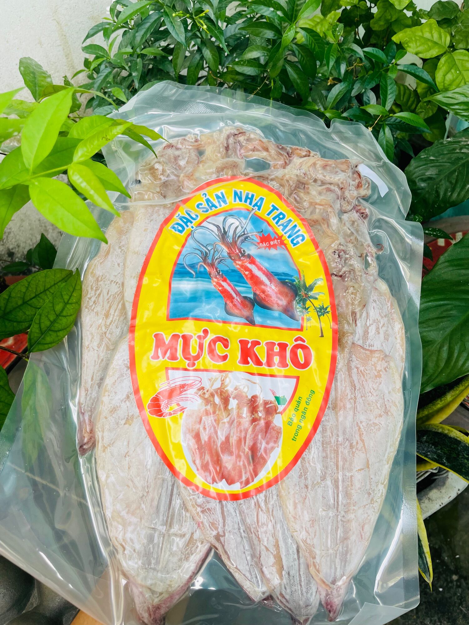 Mực khô size 17-20c