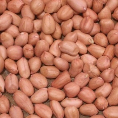 Đậu phộng (lạc) sống - 1kg loại ngon