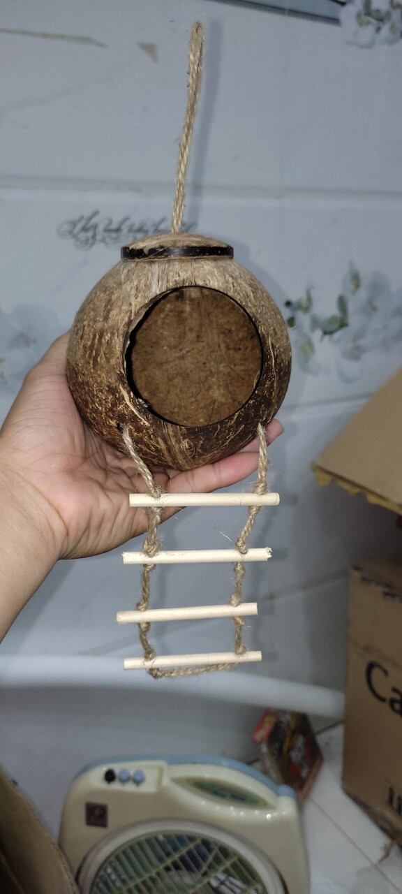 Tổ Gáo Dừa có Thang - đã đánh bóng