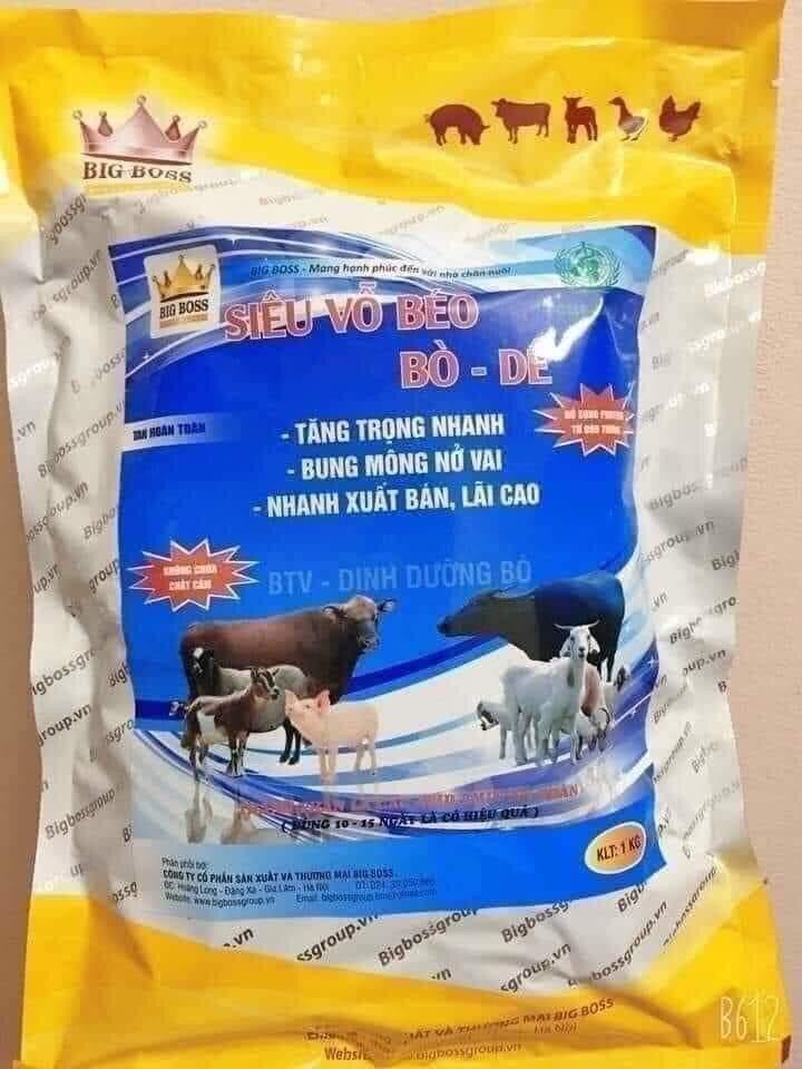 SIÊU VỖ BÉO BÒ DÊ