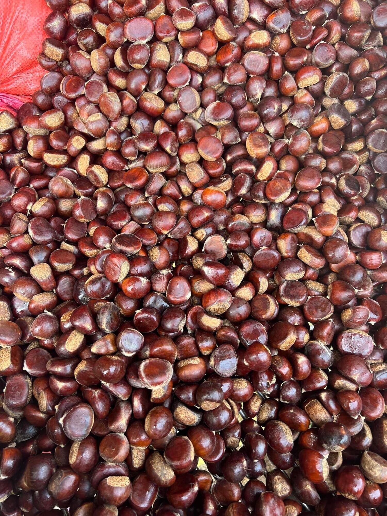 Hạt dẻ rừng Cao bằng-1kg