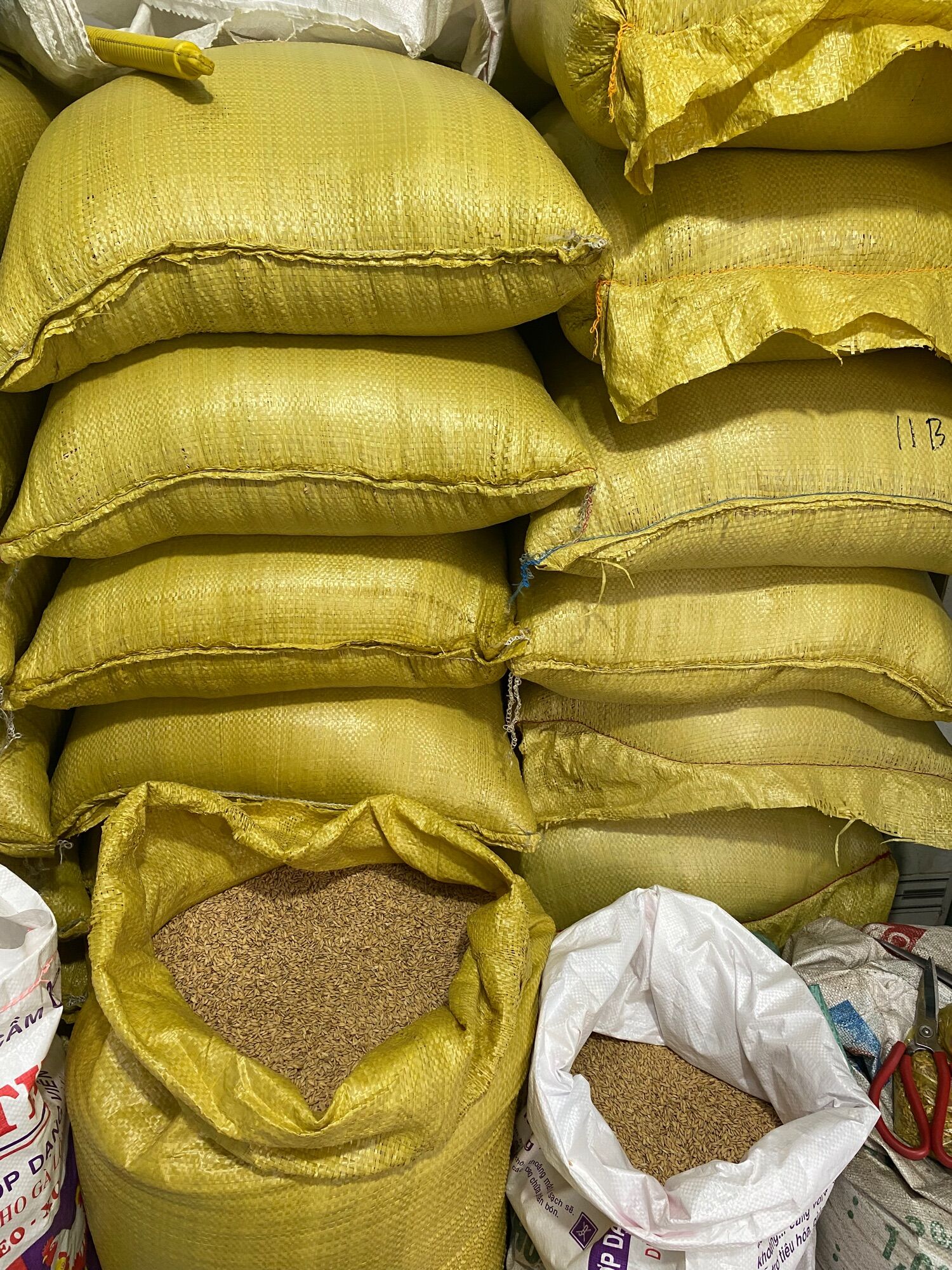 1kg Lúa Tròn Hạt Chắc