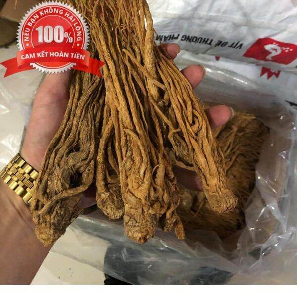 1kg sâm quy sâm đương quy khô chất lượng