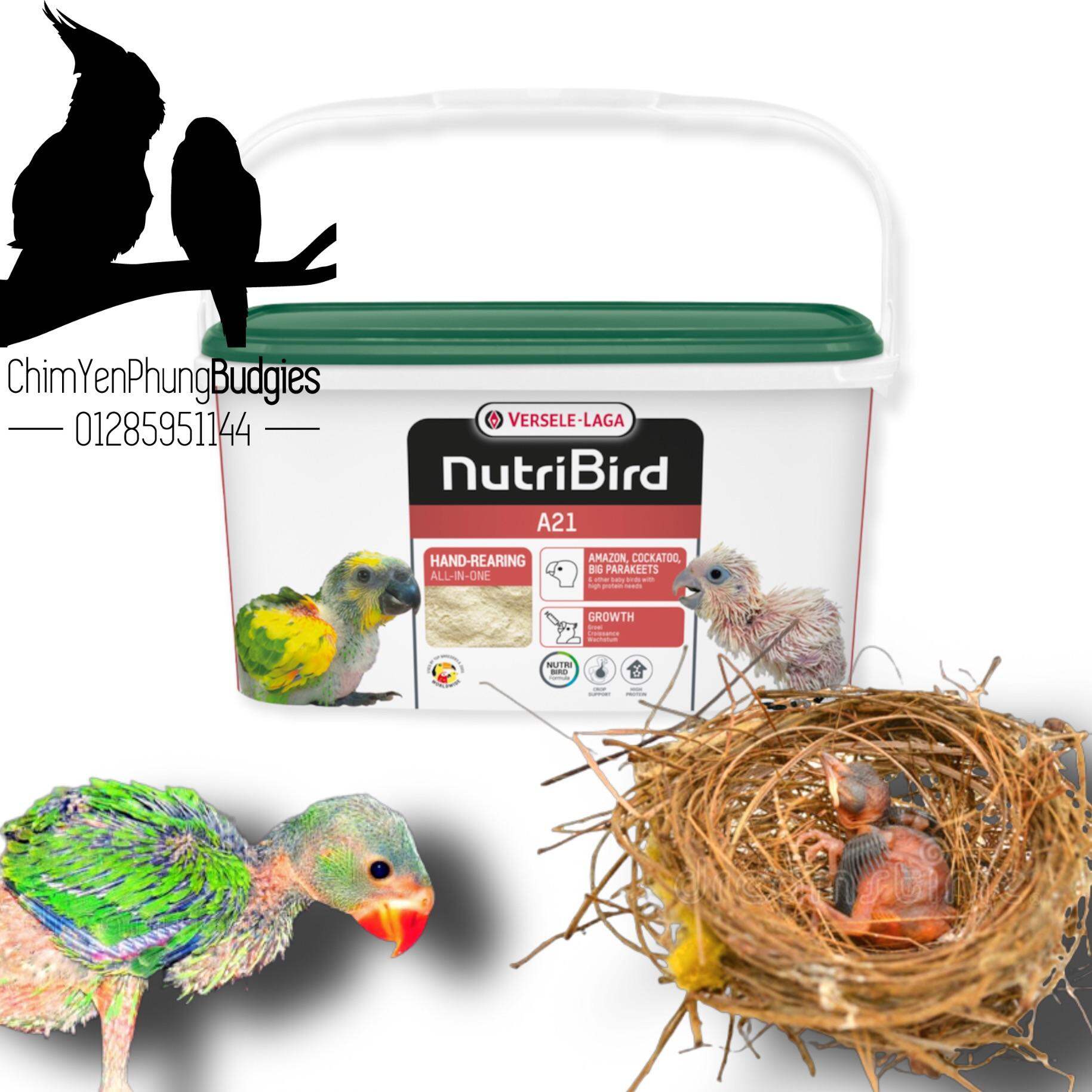 Bột Nutribird A21 giàu dinh dưỡng cho chim, vẹt non - XUẤT XỨ: BỈ_date 6/2022.