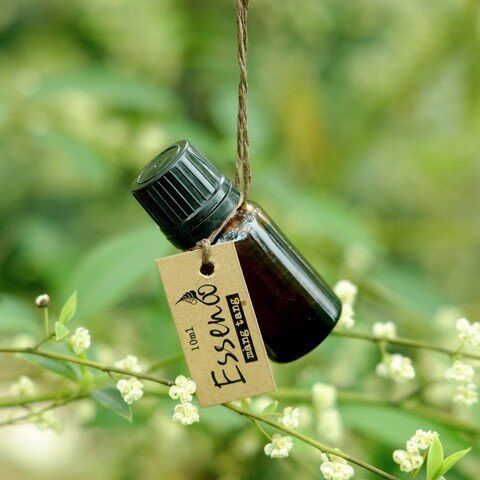 Tinh dầu màng tang Vietherb 10ml giúp đuổi muỗi rất rất hiệu quả, kháng khuẩn, kháng nấm, có thể xông giải cảm, xoa bóp giúp giảm đau nhức, hoặc có thể làm chất thơm để điều chế xà bông thơm