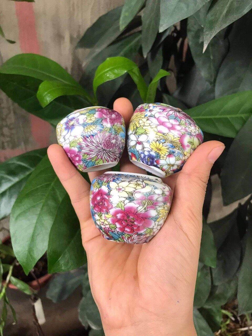 cóng hoa chim chào mào