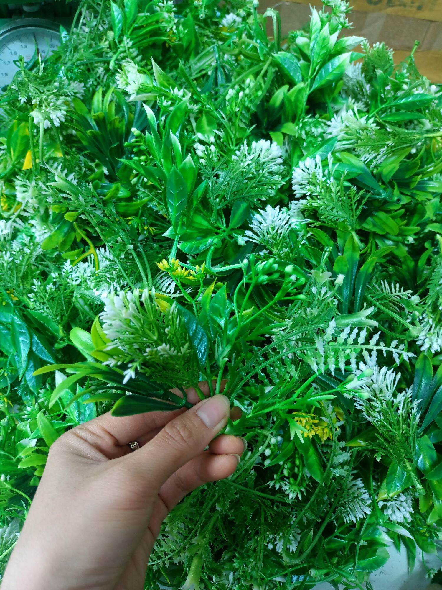 Cỏ điểm trộn mẫu
