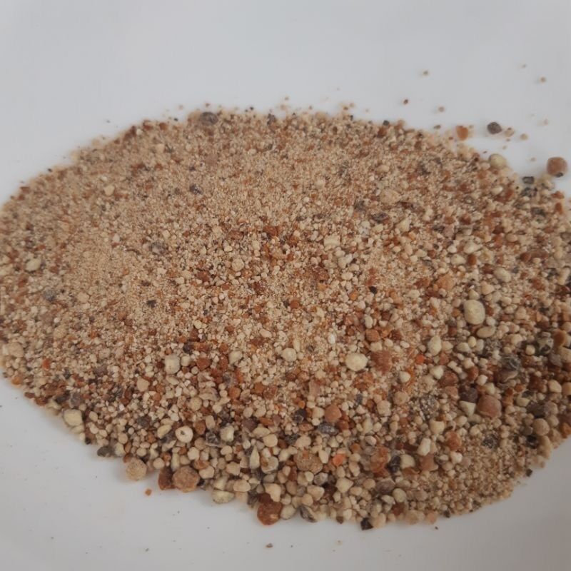 Muối Tiêu Lốp Đặc Biệt - Lốc 12 hủ