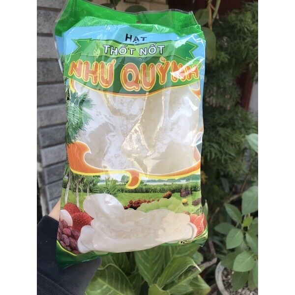 Hạt thốt nốt như quỳnh thơm ngon
