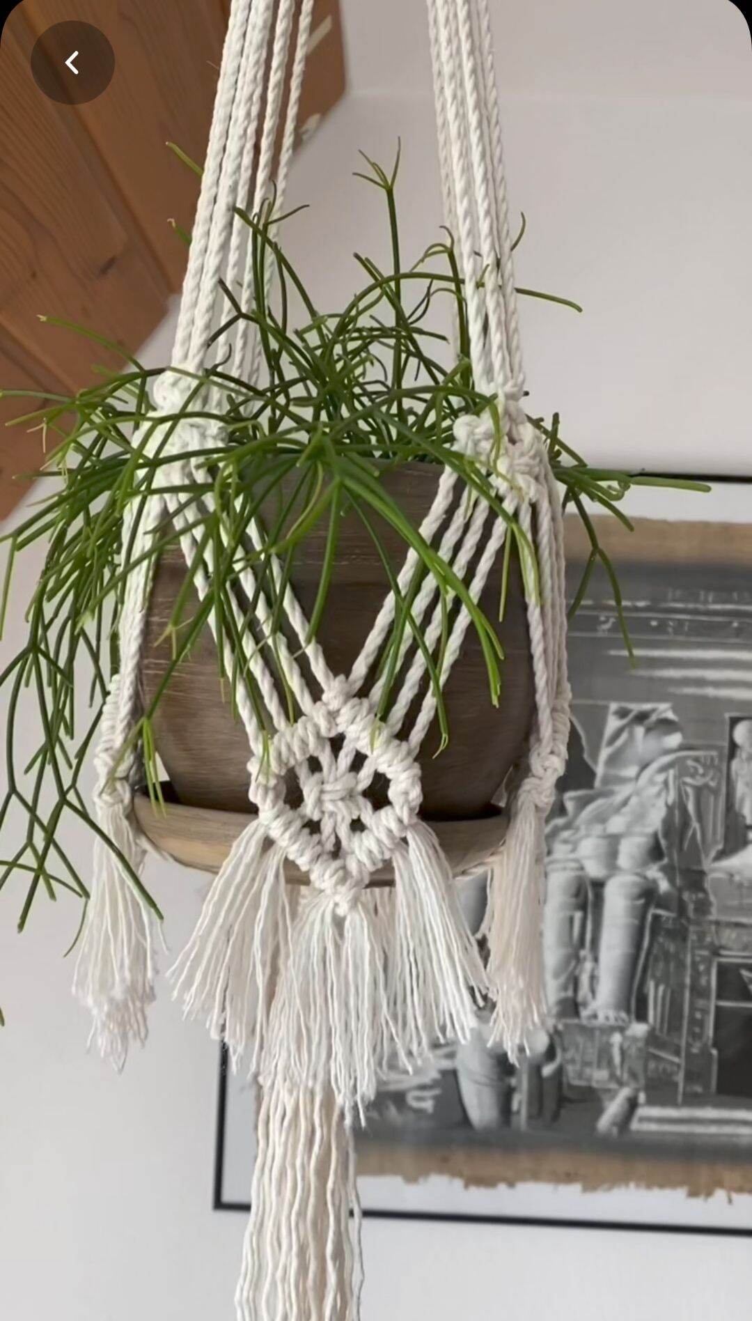 dây treo chậu hoa cây cảnh tết macrame độc đáo