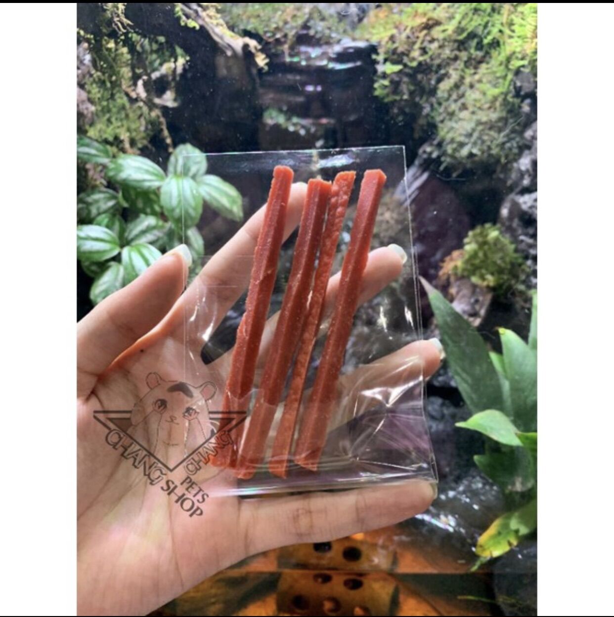 Thịt Bò Que Dành Cho Hamster