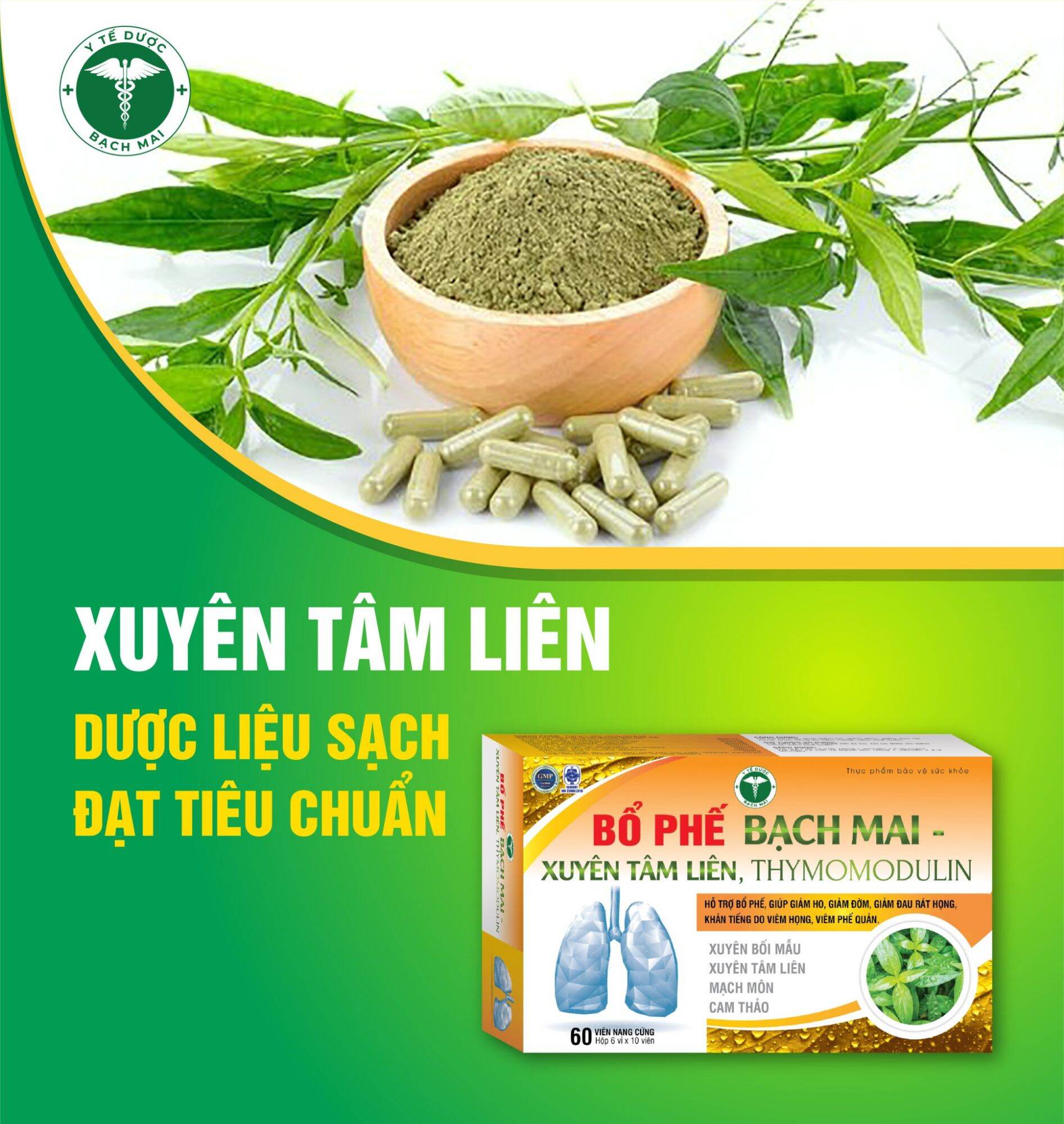 Bổ Phế hỗ trợ Ung Thư Phổi