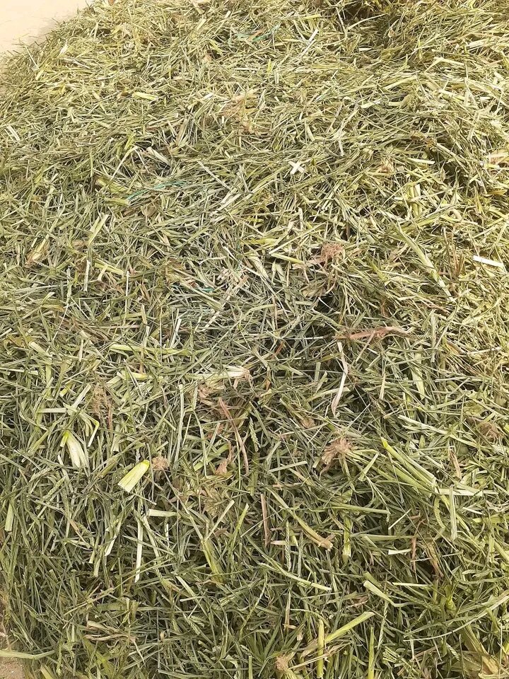 1kg Cỏ Mần Trầu phơi khô hàng mới