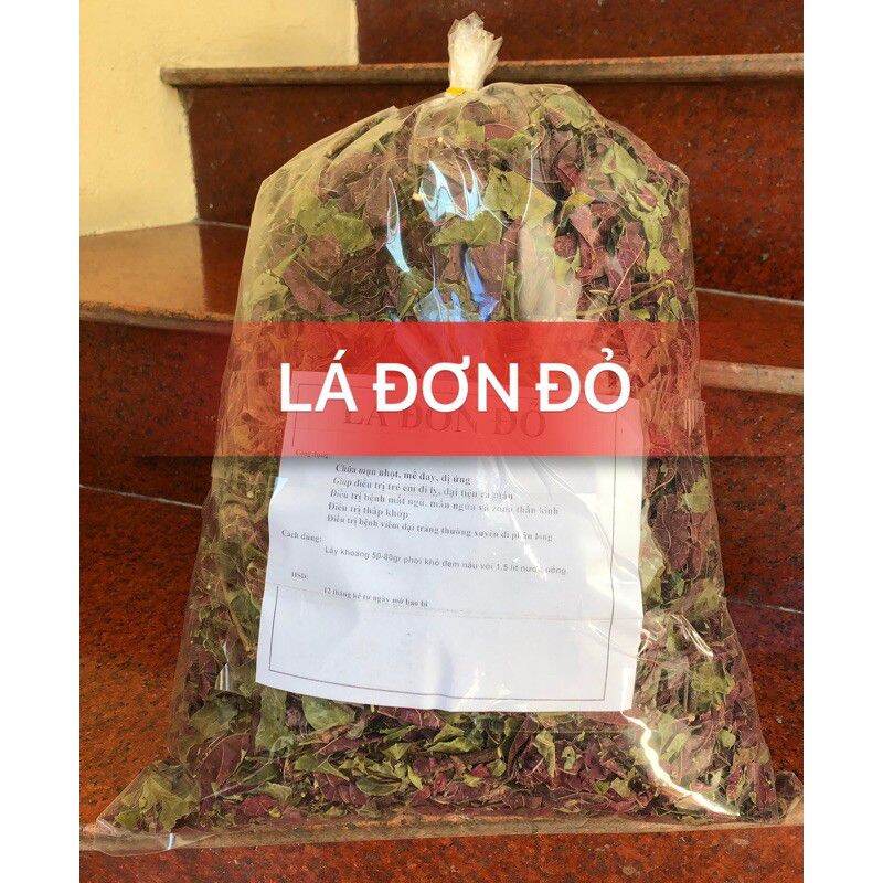 500gr lá đơn đỏ khô thơm sạch hb156