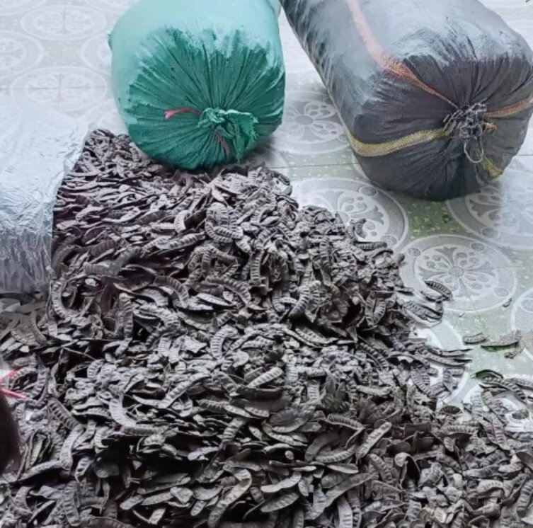 1kg quả bồ kết khô
