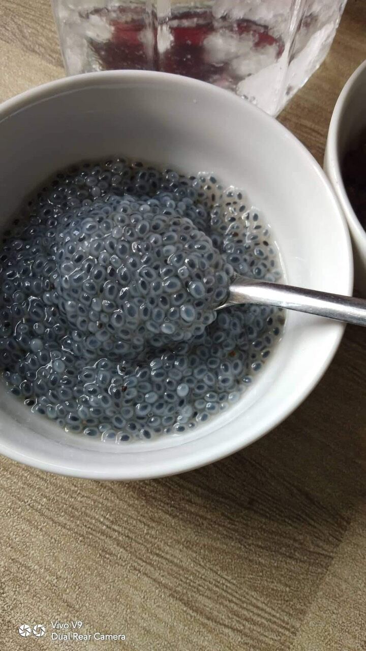 Hạt é sạch Ninh Thuận loại xuất khẩu sạch tạp chất