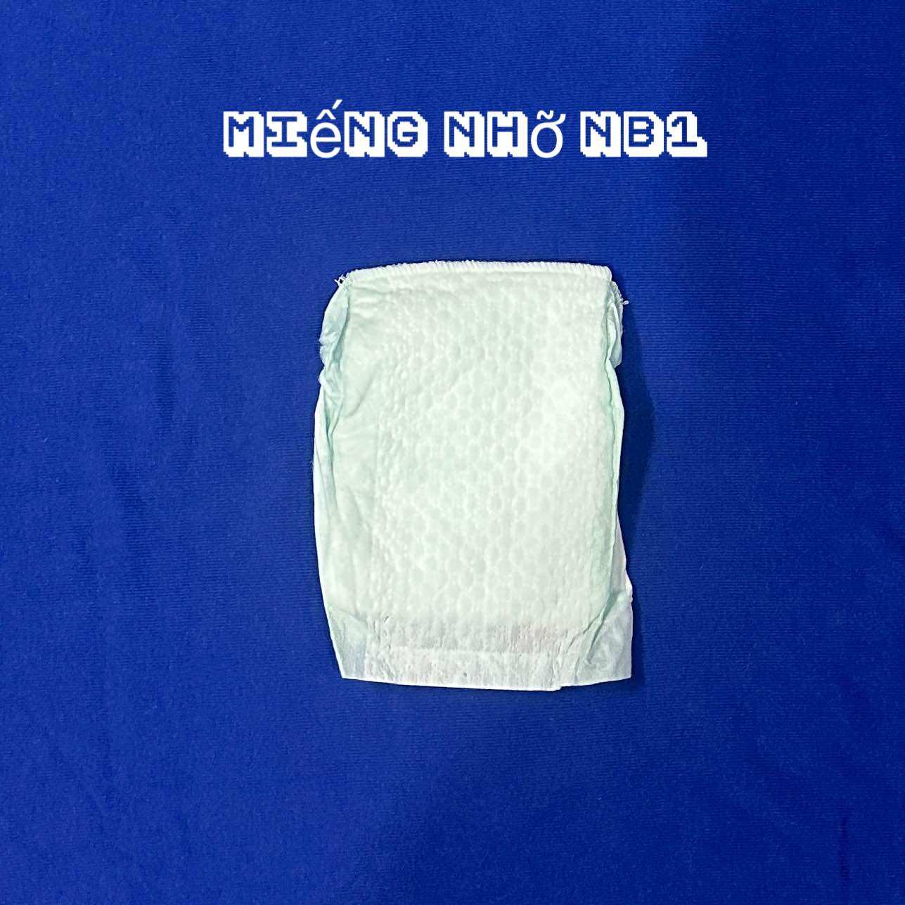 Miếng lót dán sơ sinh cho thú cưng mặc kèm tã,quần