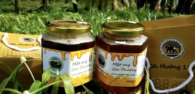 Mật ong rừng Cúc Phương