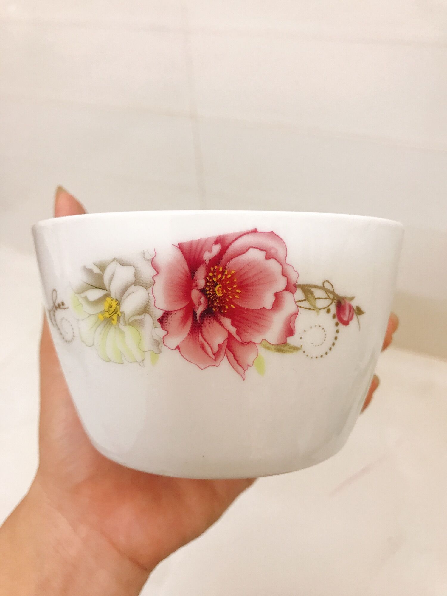 [HCM]Chậu sứ trồng sen đá hoa