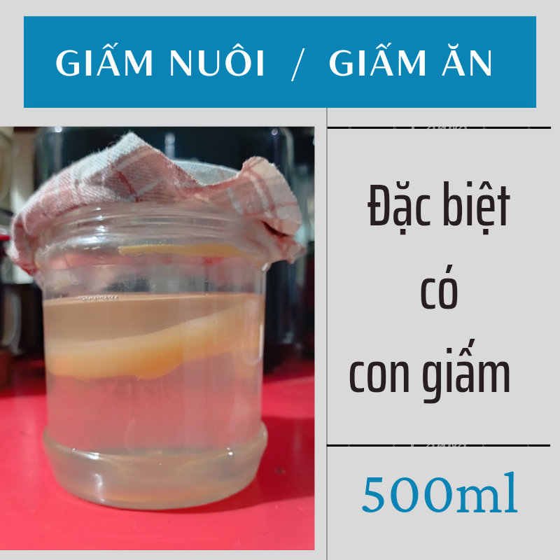 Con Giấm nuôi, giấm ăn ( 500ml )