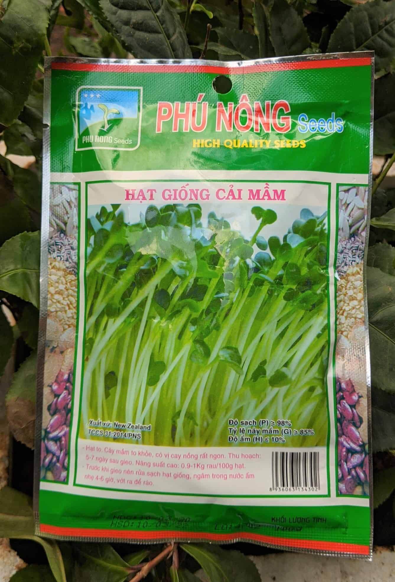 Hạt giống cải mầm