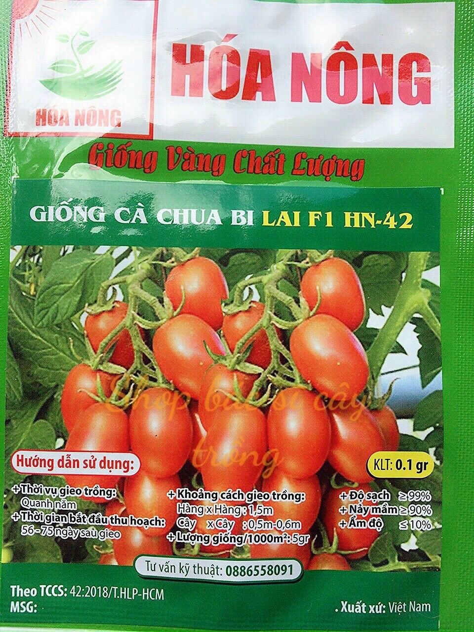 0.1 gram hạt giống cà chua bi f1 dễ trồng
