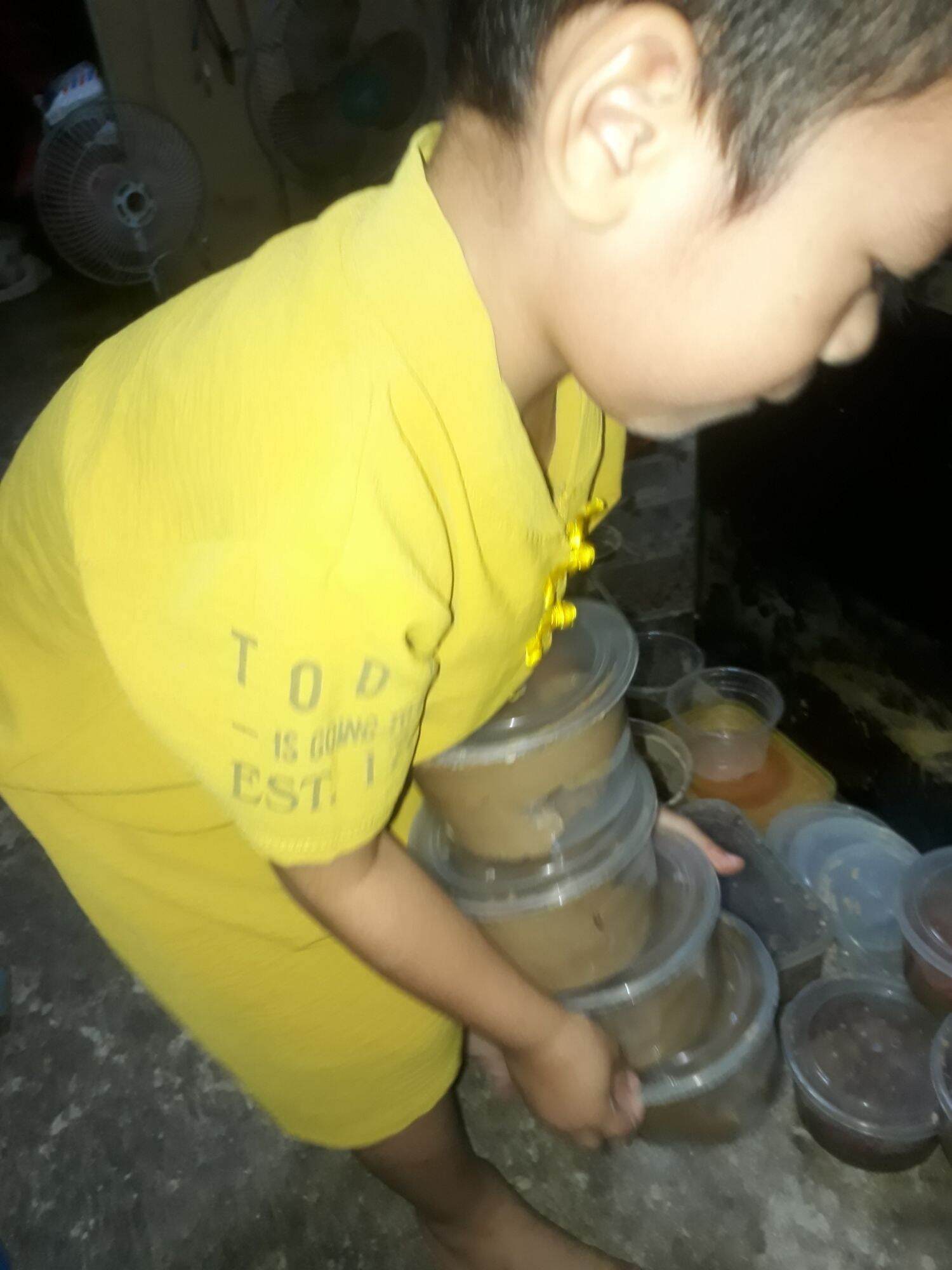 Hà Đỏ câu tôm- trùng biển câu tôm cành xanh