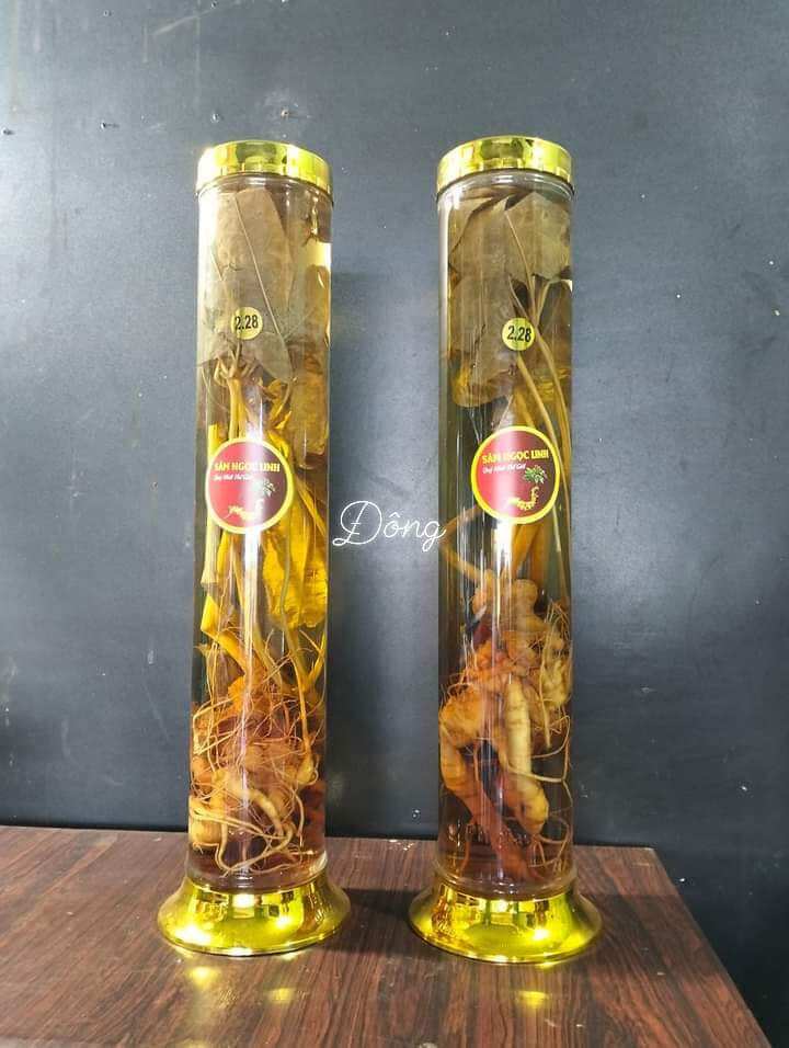 sâm Ngọc Linh ngâm 1 bình 2,28 lít