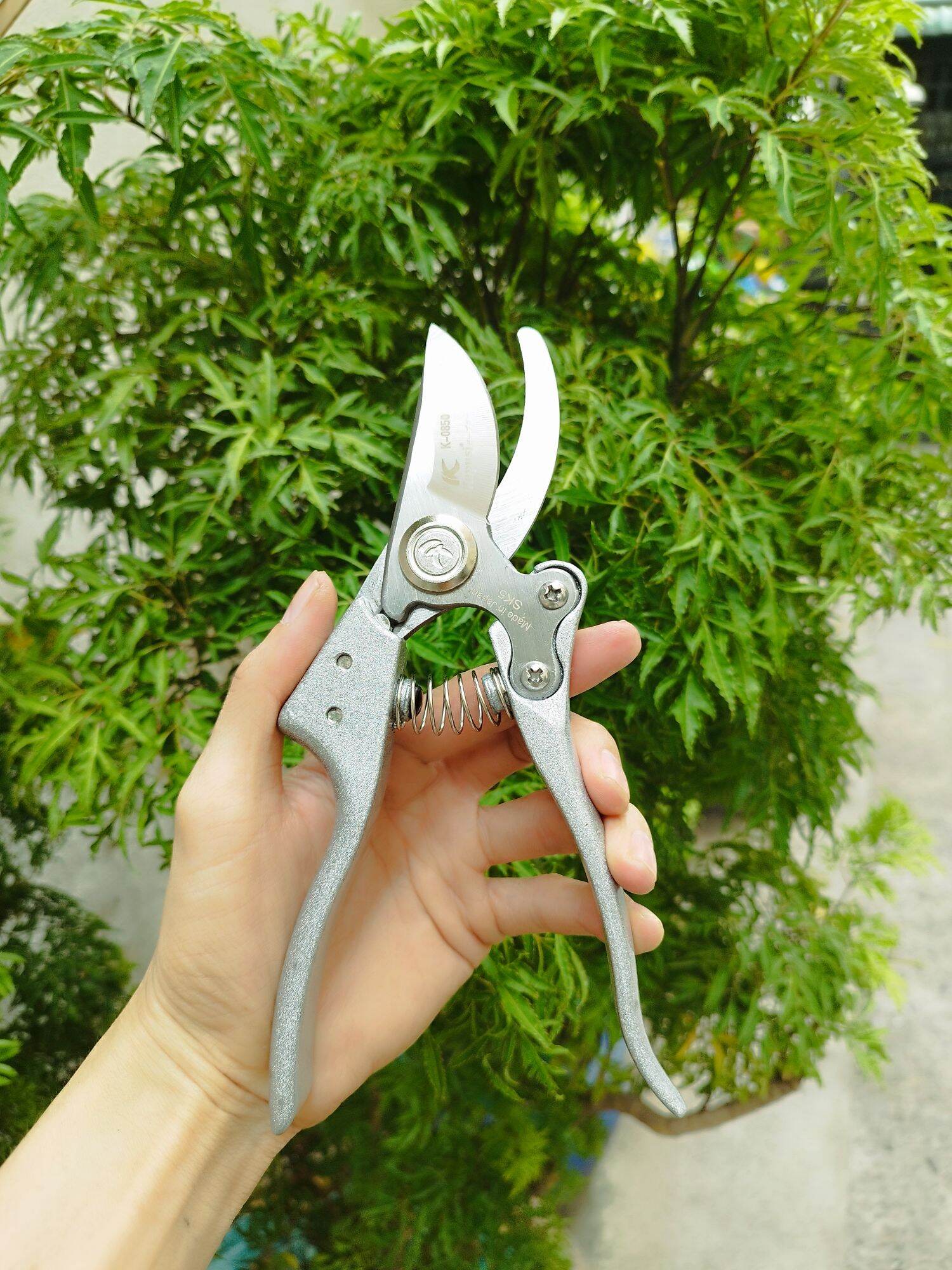 kéo cắt cành kapusi