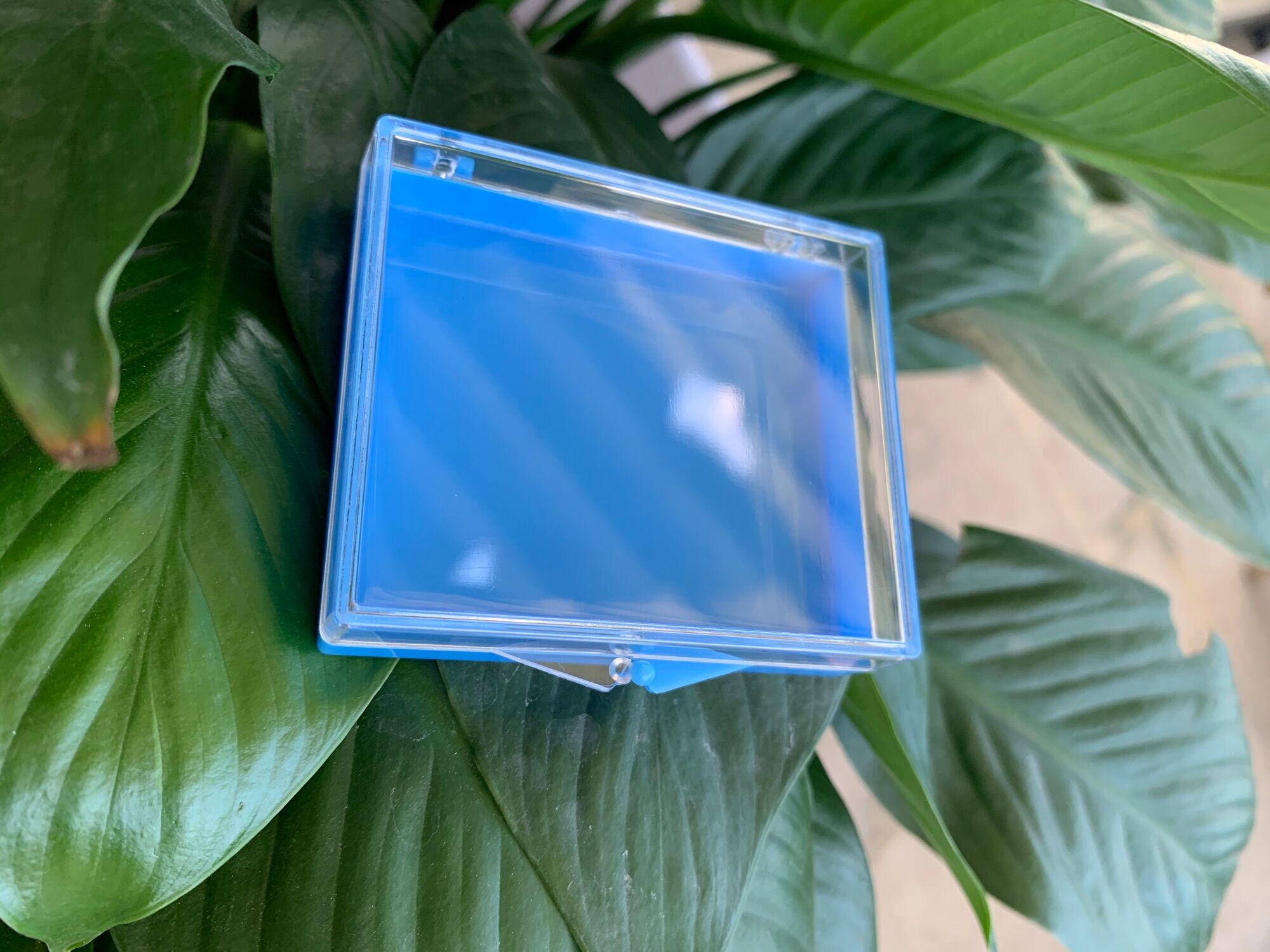 Hộp vuông xanh biển 65x55x16mm úp móng nail đựng mi fans