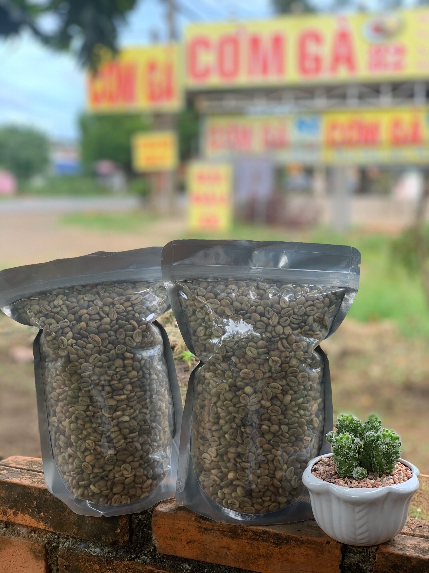 1Kg_ Nhân Cà phê Culi hoặc Robusta