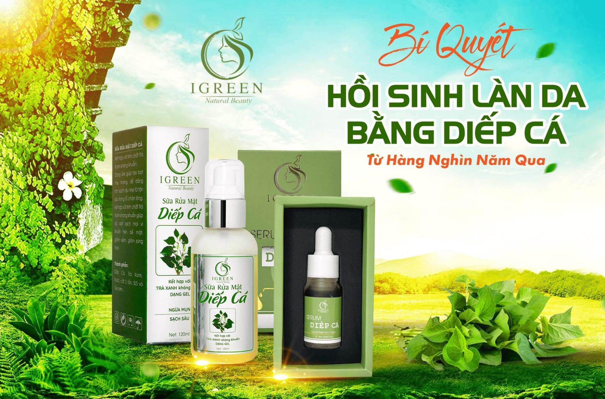 COMBO SẠCH MỤN DIẾP CÁ IGREEN
