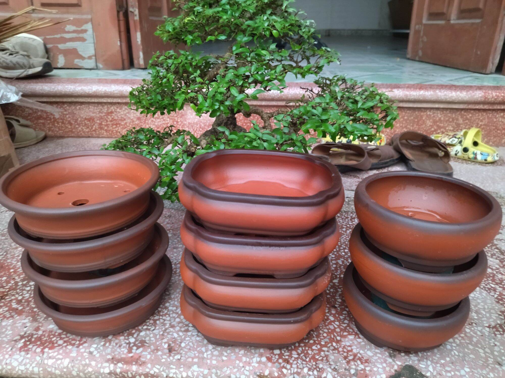 10 chậu gốm màu đỏ nhật
