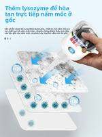 MONARCH DOCTOR | Gel Loại Bỏ Nấm Mốc Trong Nhà