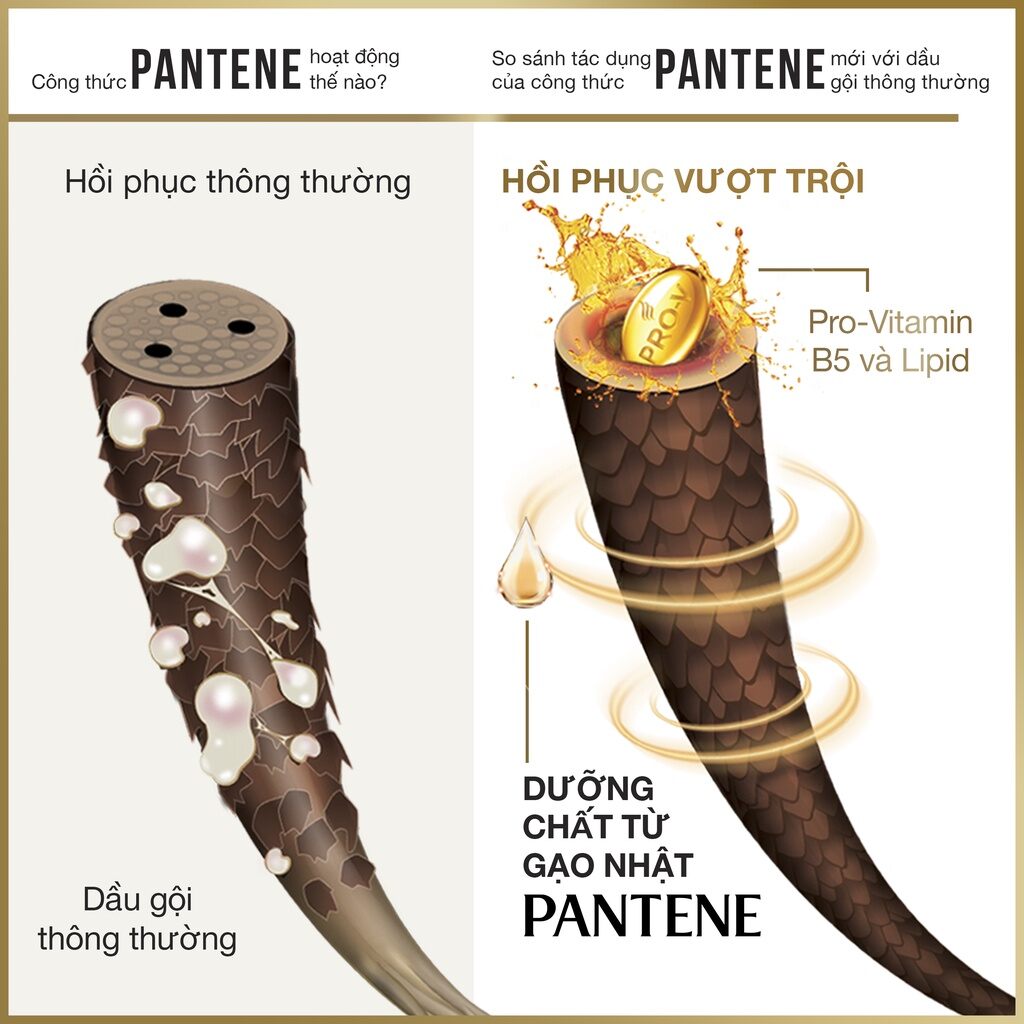 Dầu gội đầu pantene ngăn rụng tóc 900ml