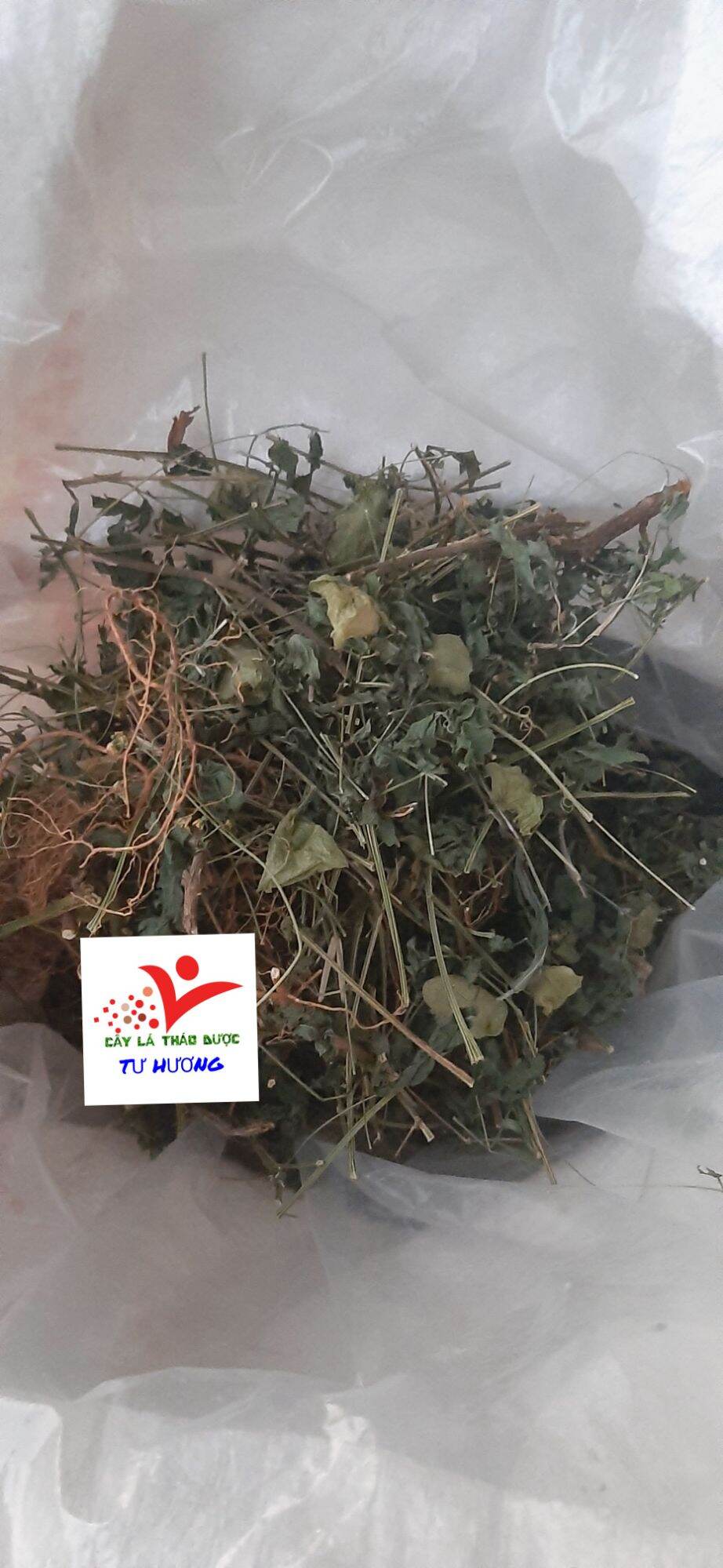 Cây tầm bóp khô ( 1 kg)